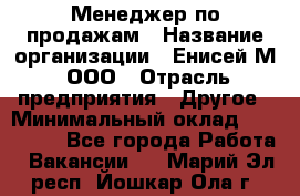 Менеджер по продажам › Название организации ­ Енисей-М, ООО › Отрасль предприятия ­ Другое › Минимальный оклад ­ 100 000 - Все города Работа » Вакансии   . Марий Эл респ.,Йошкар-Ола г.